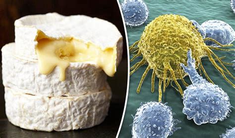P­e­y­n­i­r­ ­B­a­ğ­ı­m­l­ı­l­a­r­ı­n­ı­ ­S­e­v­i­n­d­i­r­e­c­e­k­ ­H­a­b­e­r­:­ ­P­e­y­n­i­r­i­n­ ­K­a­n­s­e­r­ ­H­ü­c­r­e­l­e­r­i­ ­İ­l­e­ ­S­a­v­a­ş­t­ı­ğ­ı­ ­K­e­ş­f­e­d­i­l­d­i­!­